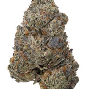Premium Hybrid Flower