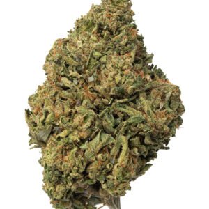 Standard Indica Flower
